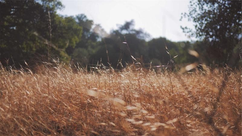 संविधान दिवस: राष्ट्रिय कार्यक्रम सम्पन्न